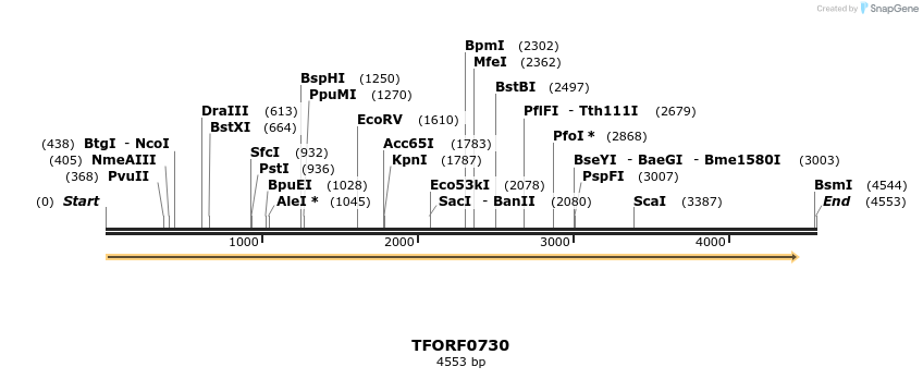 282443_map