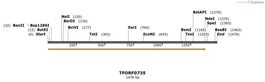 282446_map