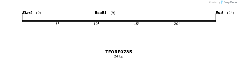 282447_map