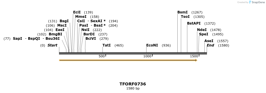 282449_map