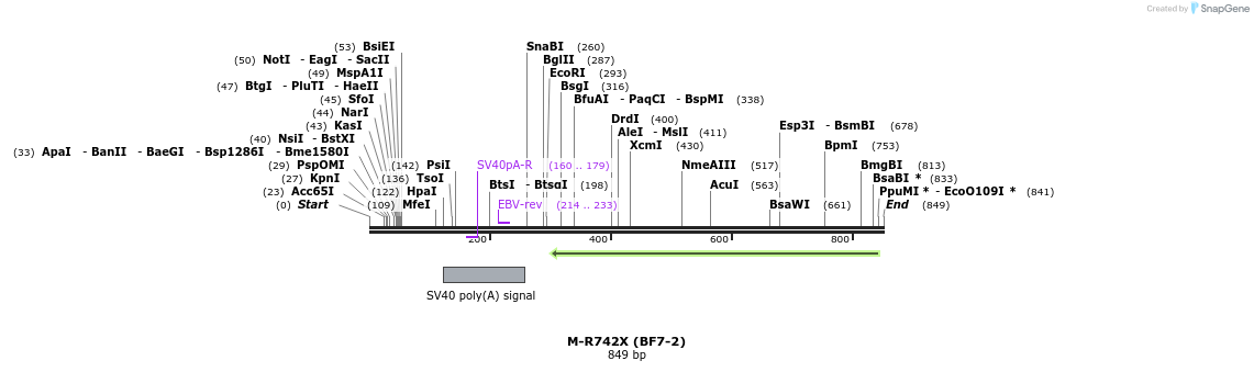 28245_map