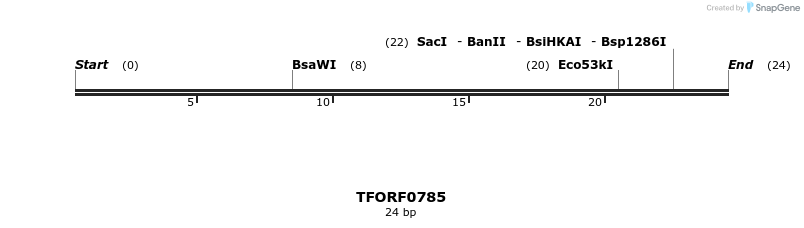 282456_map