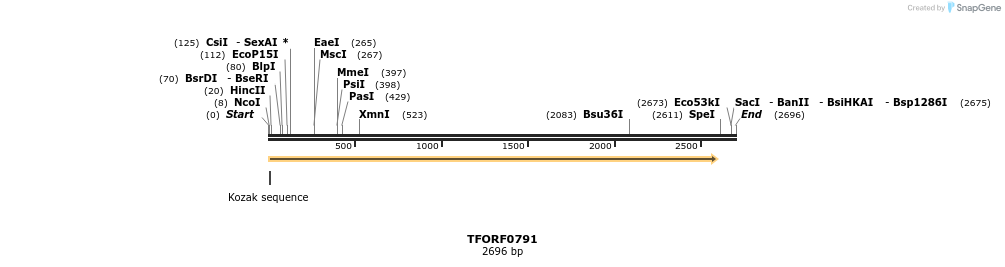 282458_map
