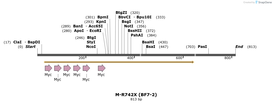 28246_map