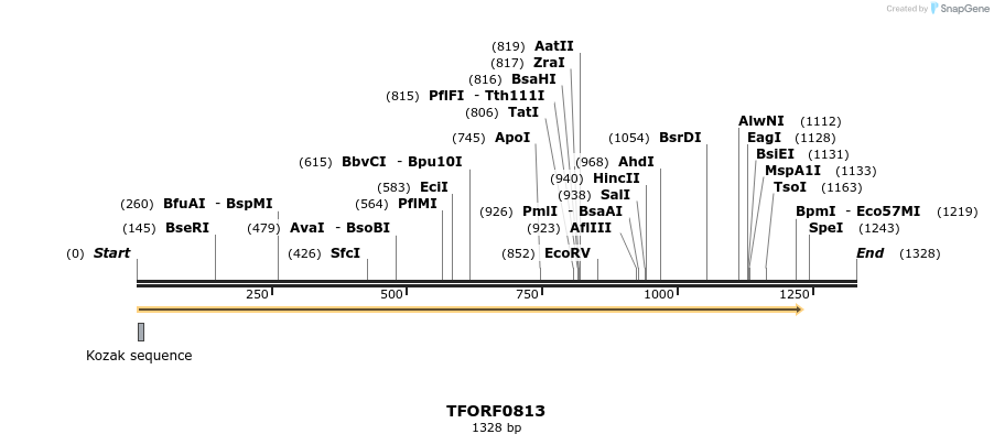 282461_map