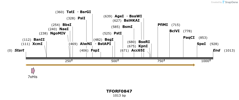282464_map