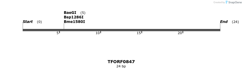 282465_map