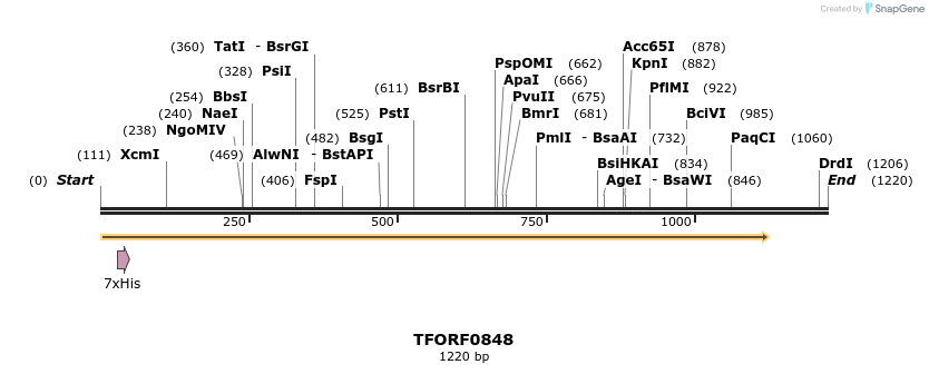 282467_map