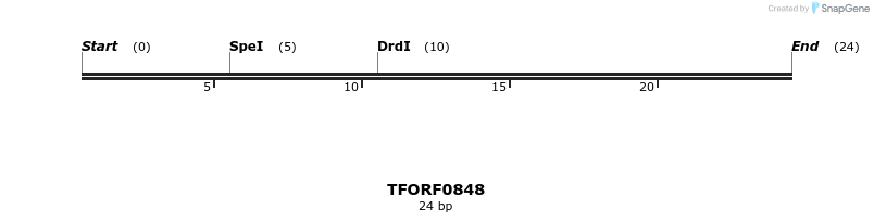 282468_map
