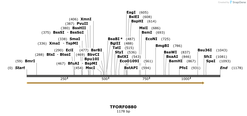 282470_map