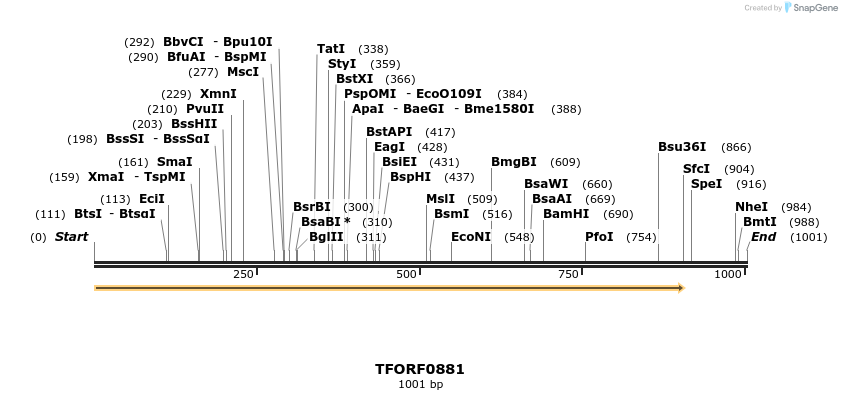 282473_map