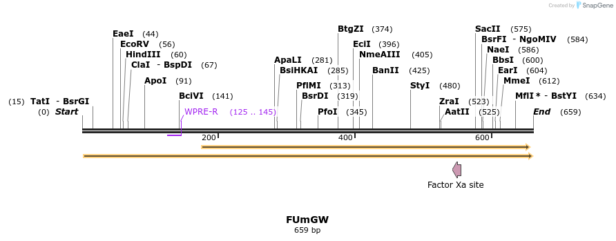 28249_map