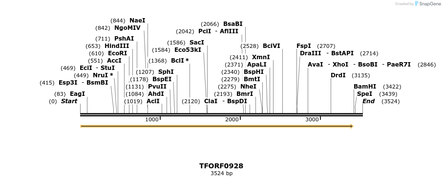 282494_map