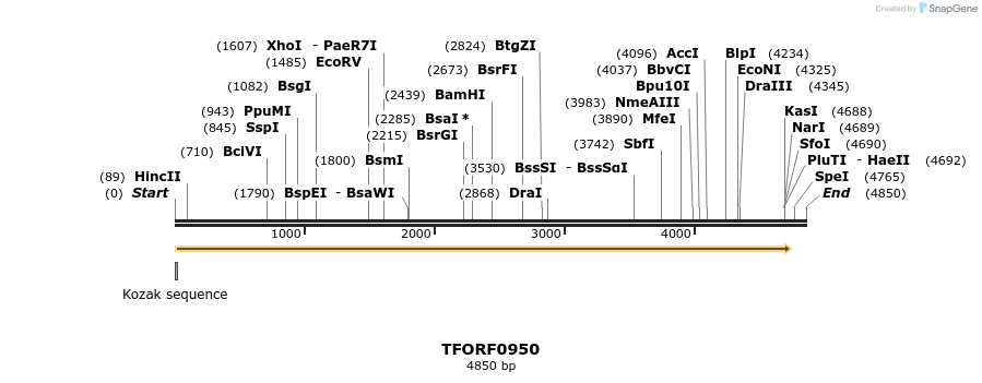 282497_map