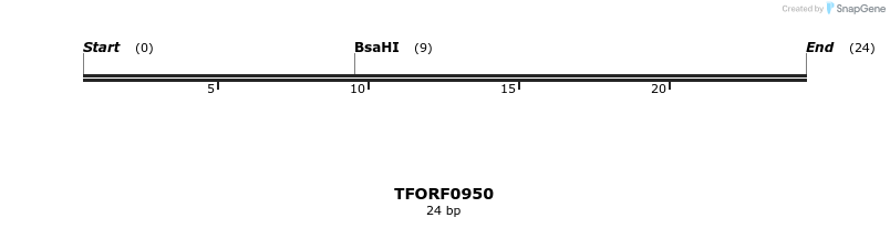 282498_map