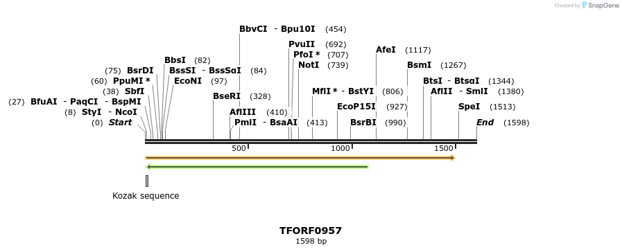 282500_map