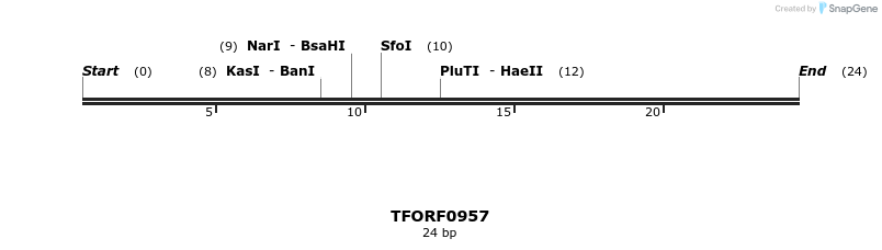 282501_map