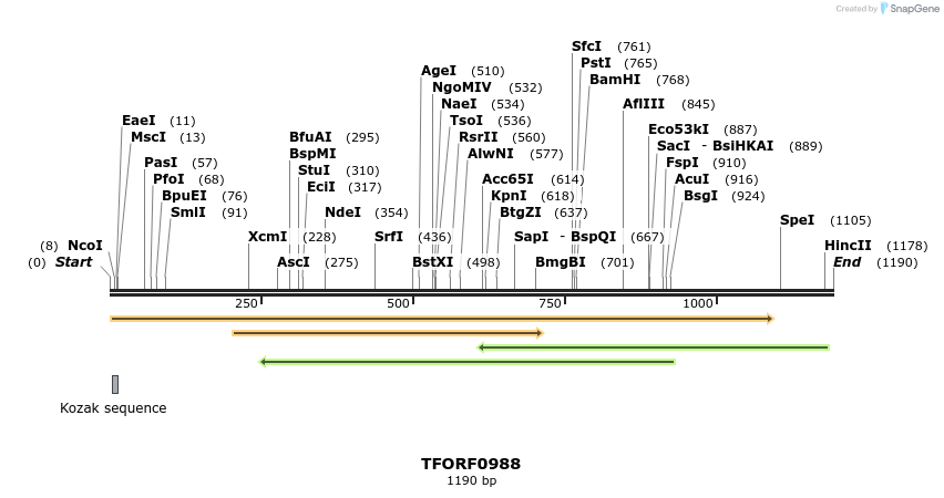 282503_map