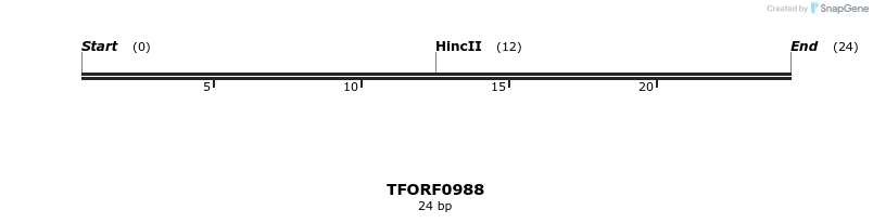 282504_map