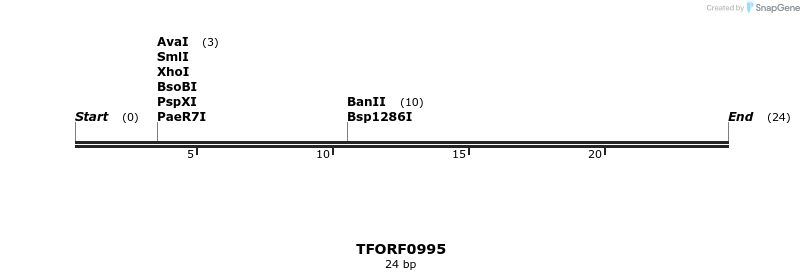 282507_map