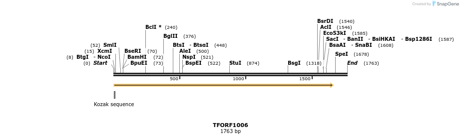 282509_map