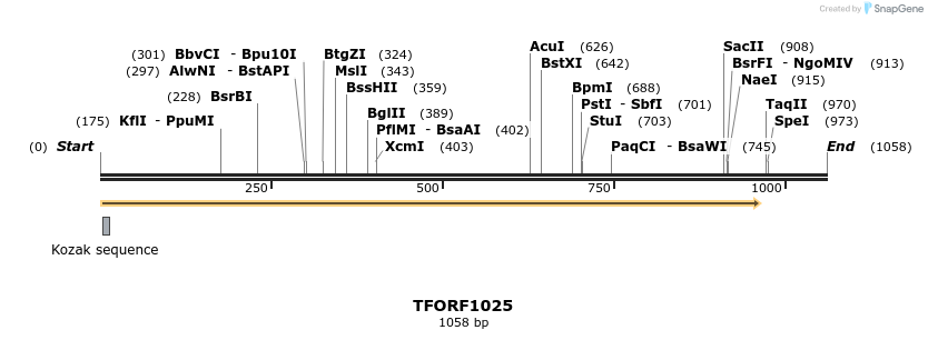 282512_map
