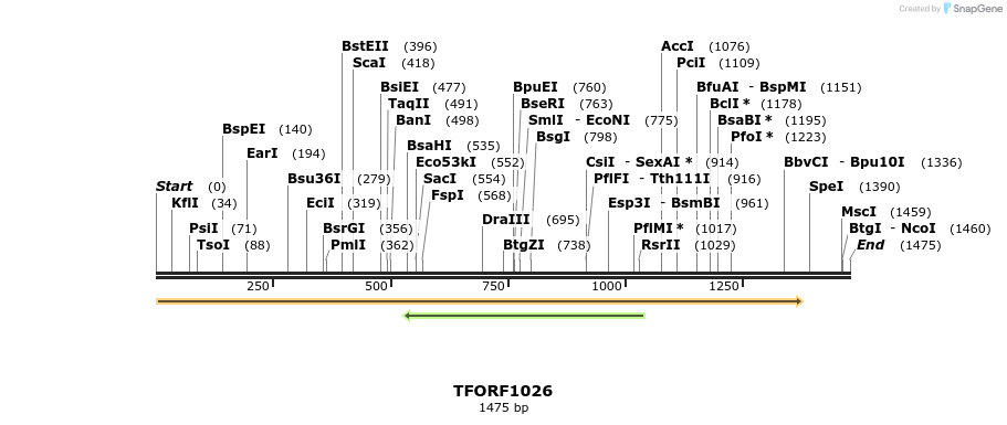282515_map