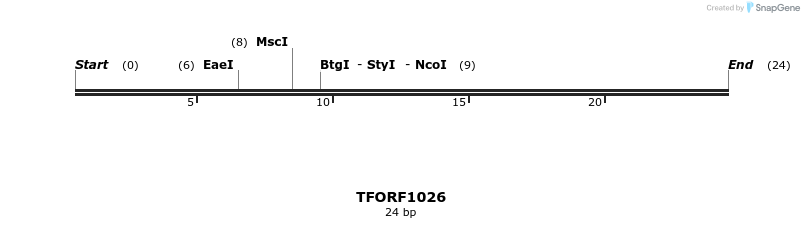 282516_map