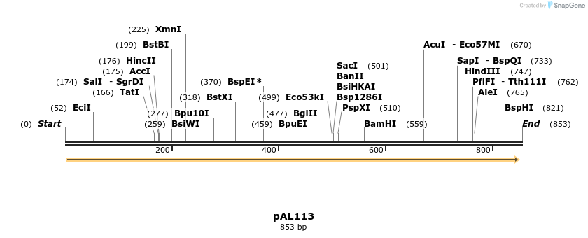 28252_map