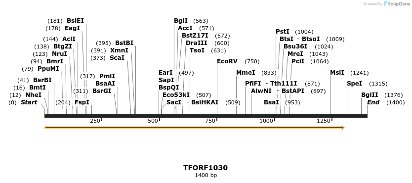 282521_map