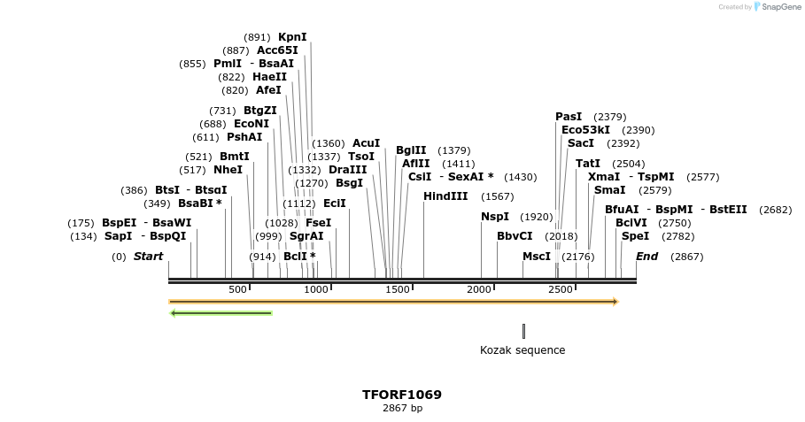 282527_map