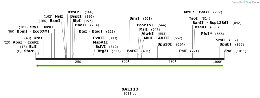 28253_map