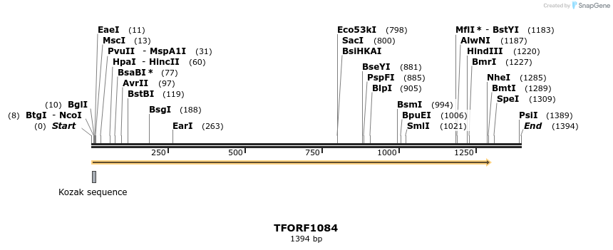 282530_map