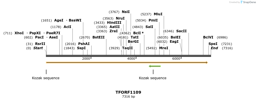 282536_map