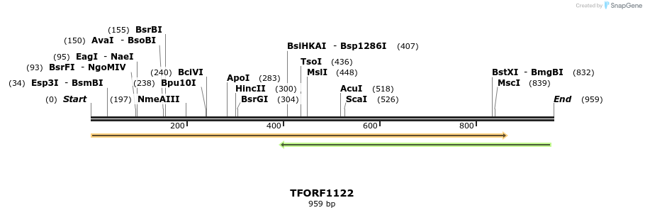282540_map