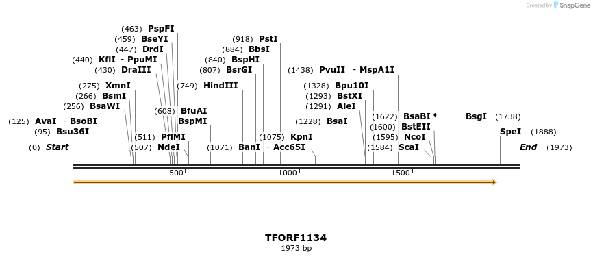 282543_map