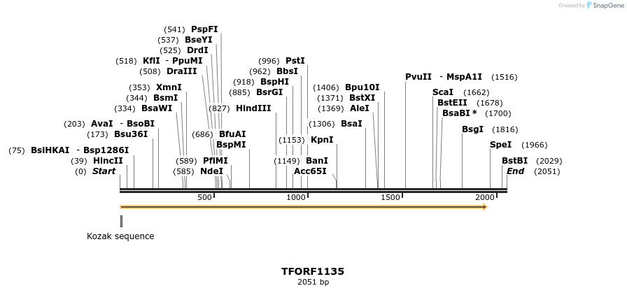 282546_map