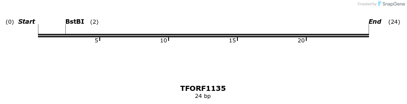 282547_map