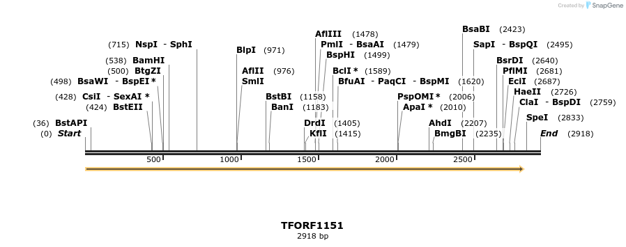 282549_map