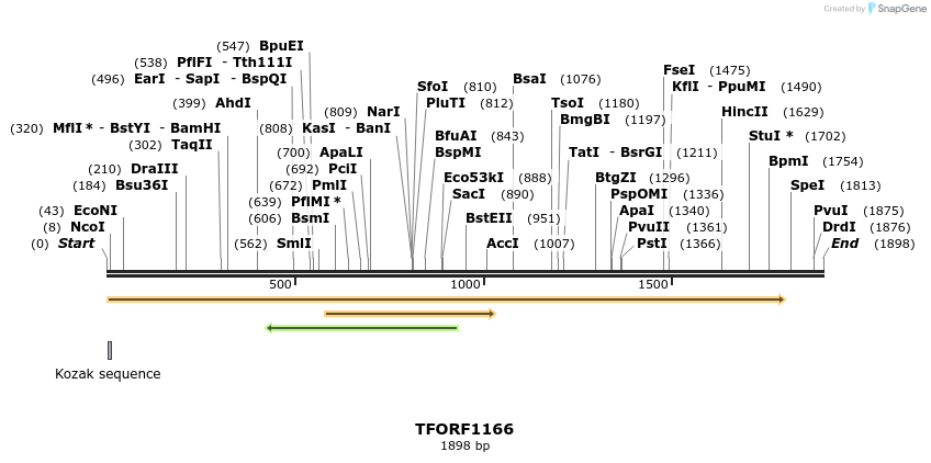 282552_map