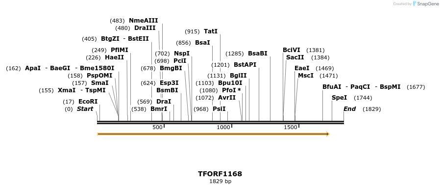 282555_map