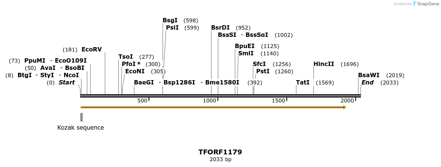 282558_map