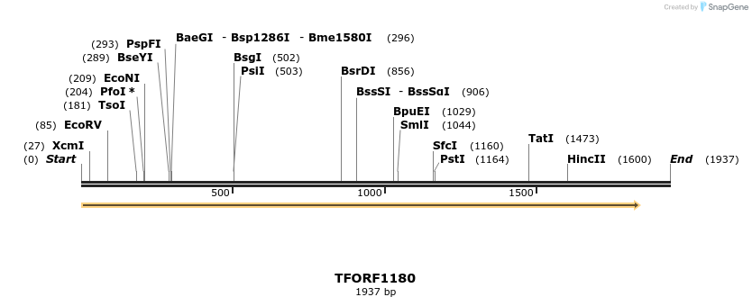 282561_map