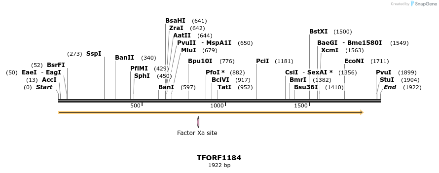 282567_map
