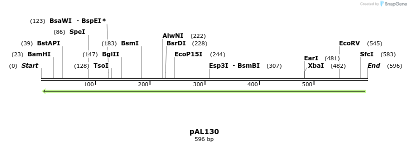 28257_map