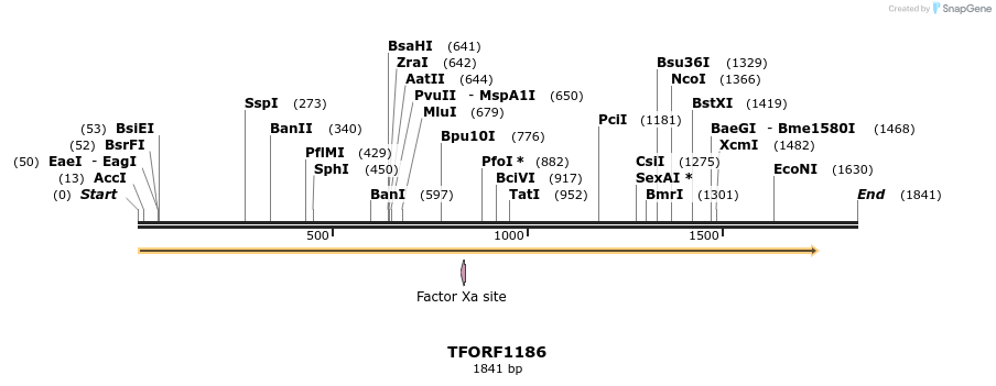 282570_map