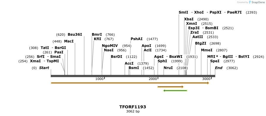 282576_map
