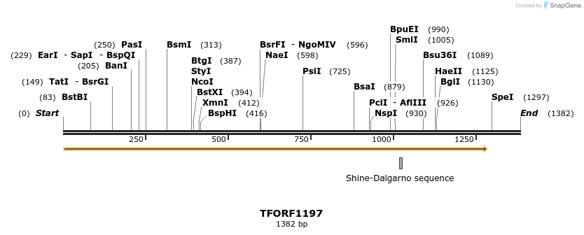 282582_map