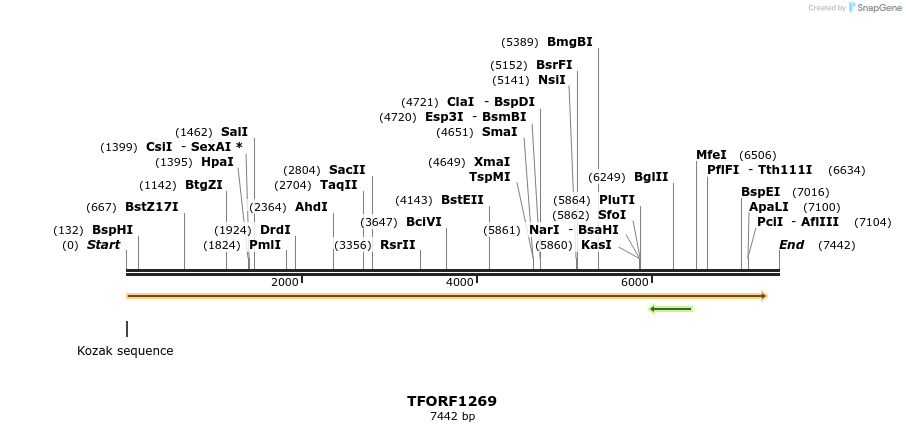 282585_map