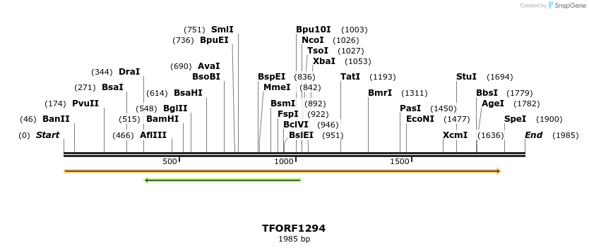 282591_map